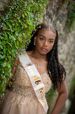 SB3_1515