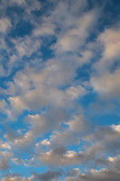 SB5_5619