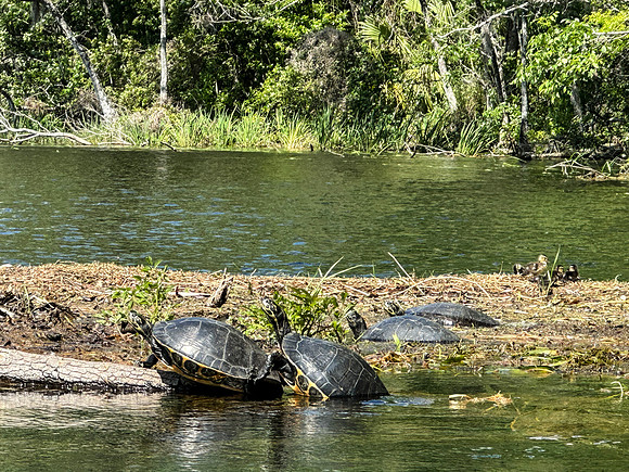 IMG_1440