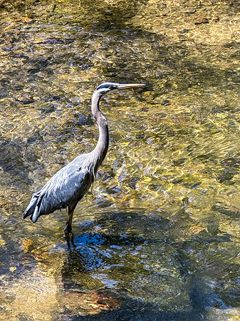 IMG_1865