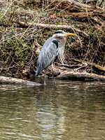IMG_0944