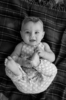 SB3_4636