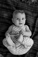 SB3_4638
