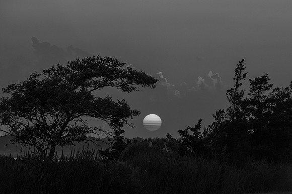 SB5_3389