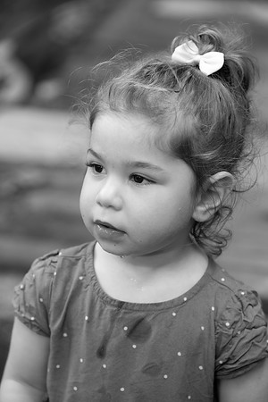 SB2_3966